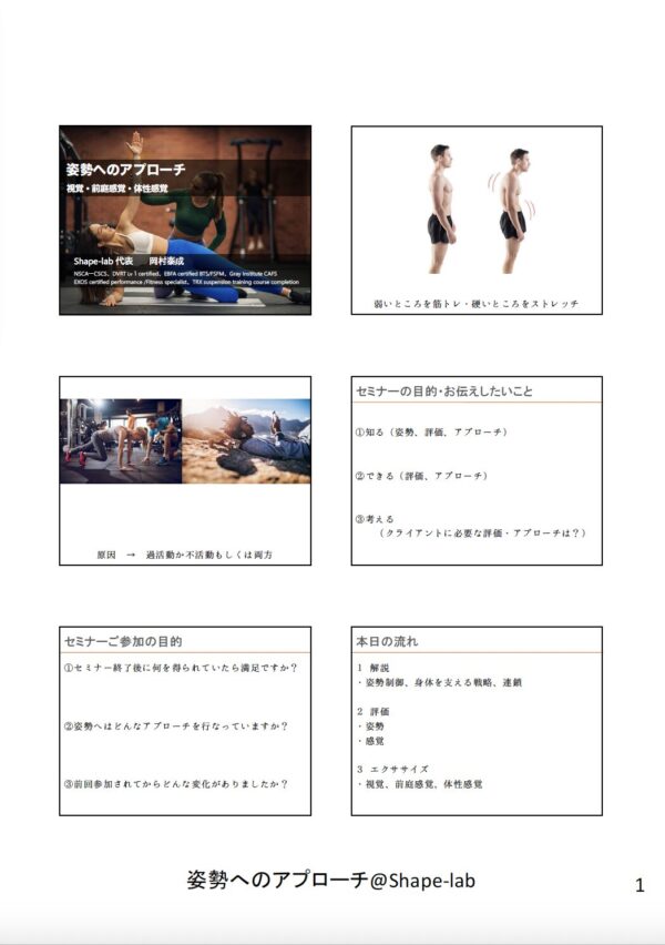 姿勢へのアプローチ 〜視覚・前庭感覚・体性感覚〜 - 画像 (3)
