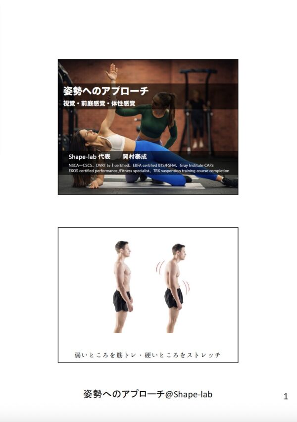姿勢へのアプローチ 〜視覚・前庭感覚・体性感覚〜 - 画像 (2)