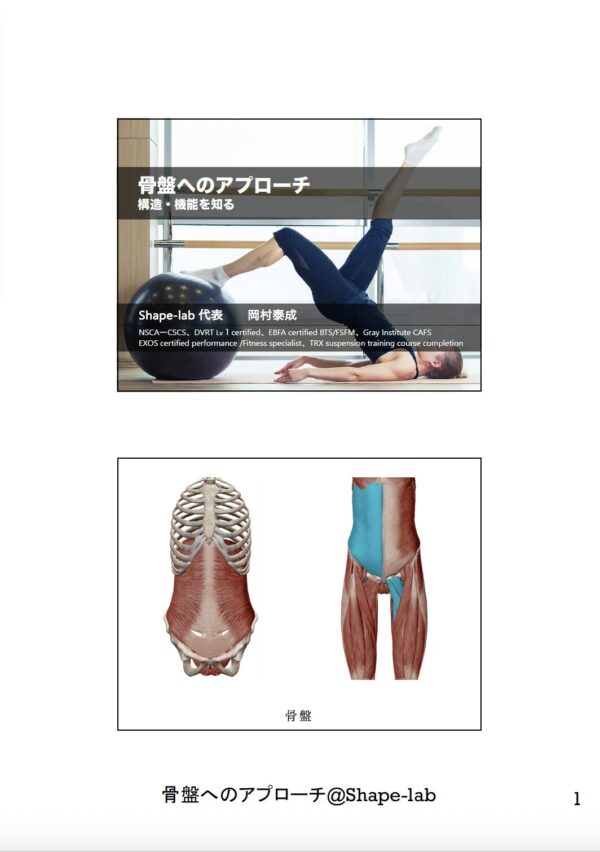 骨盤へのアプローチ 〜構造・機能を知る〜 - 画像 (2)