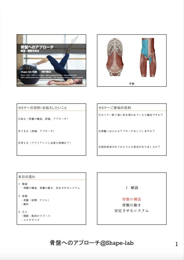 骨盤へのアプローチ 〜構造・機能を知る〜 - 画像 (3)
